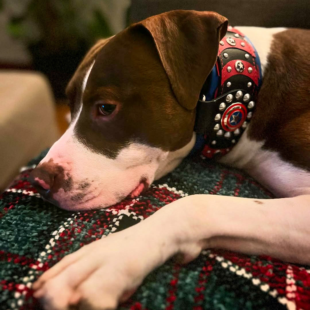 ''Captain A'' Collar