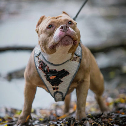 The “Dragon's Eye” Harness LIMITED! - Bestia Collars
