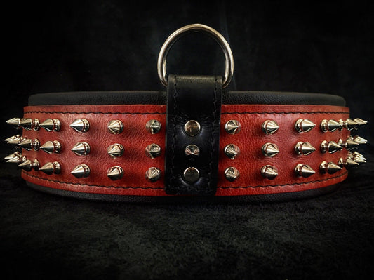 "Silver Giant" collar Red Collars