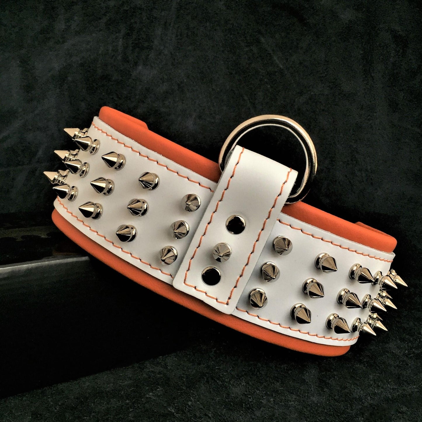 "Silver Giant" collar White Collars