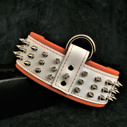 "Silver Giant" collar White Collars