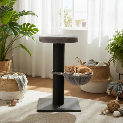 Trixie Kratzbaum Mauricio Braun