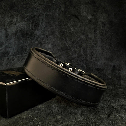 "Stylish" 2 inch wide dog collar Collars