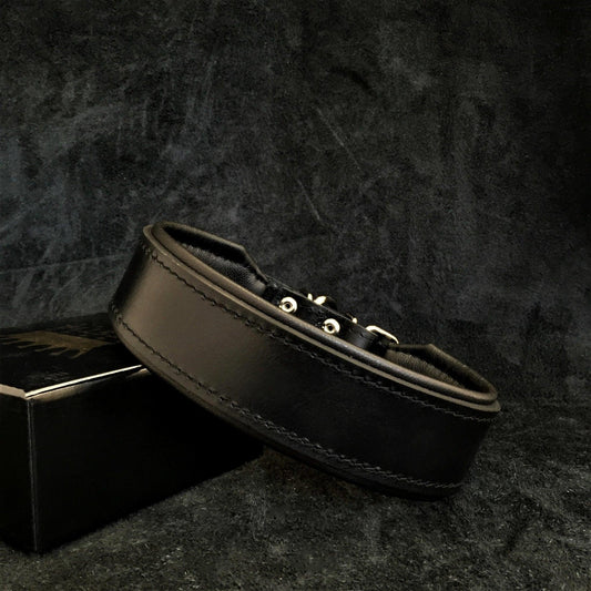 "Stylish" 2 inch wide dog collar Collars