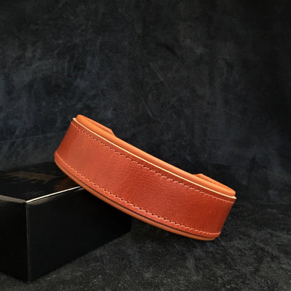 "Stylish" 2 inch wide dog collar Collars