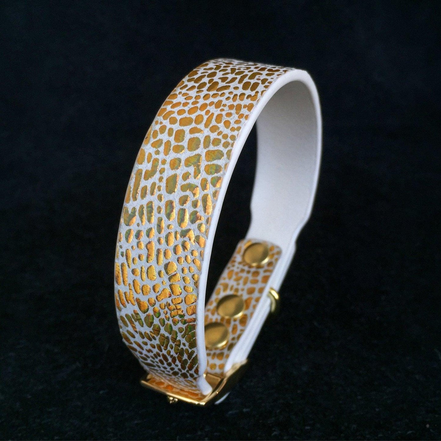 The „Balthazar“ puppy collar Collars