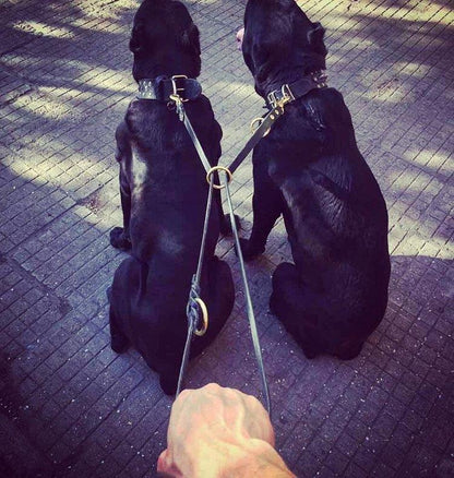 The Bestia multi purpose Police leash Leads & Head Collars