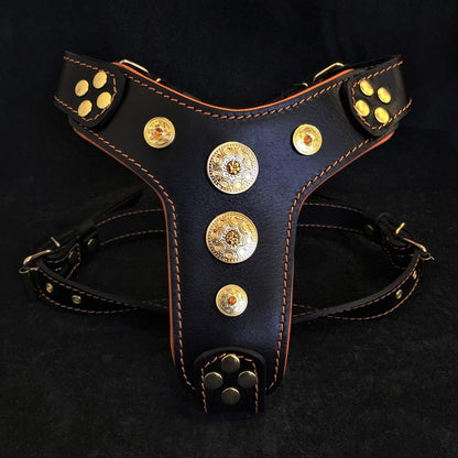 The ''Bijou'' harness Black & Orange Small to Medium Size Harnesses
