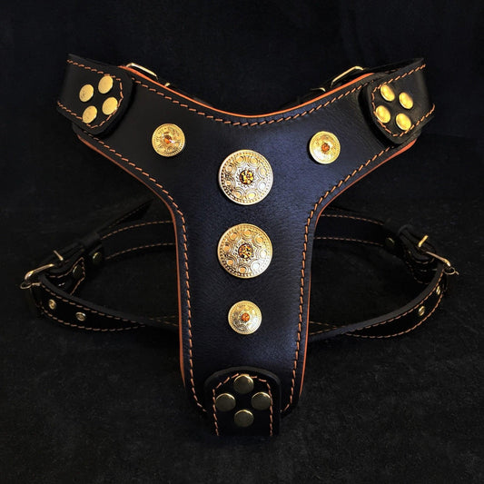 The ''Bijou'' harness Black & Orange Small to Medium Size Harnesses