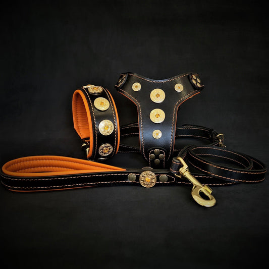 The ''Bijou'' SET - Collar, Harness, Leash. Orange Leads & Head Collars