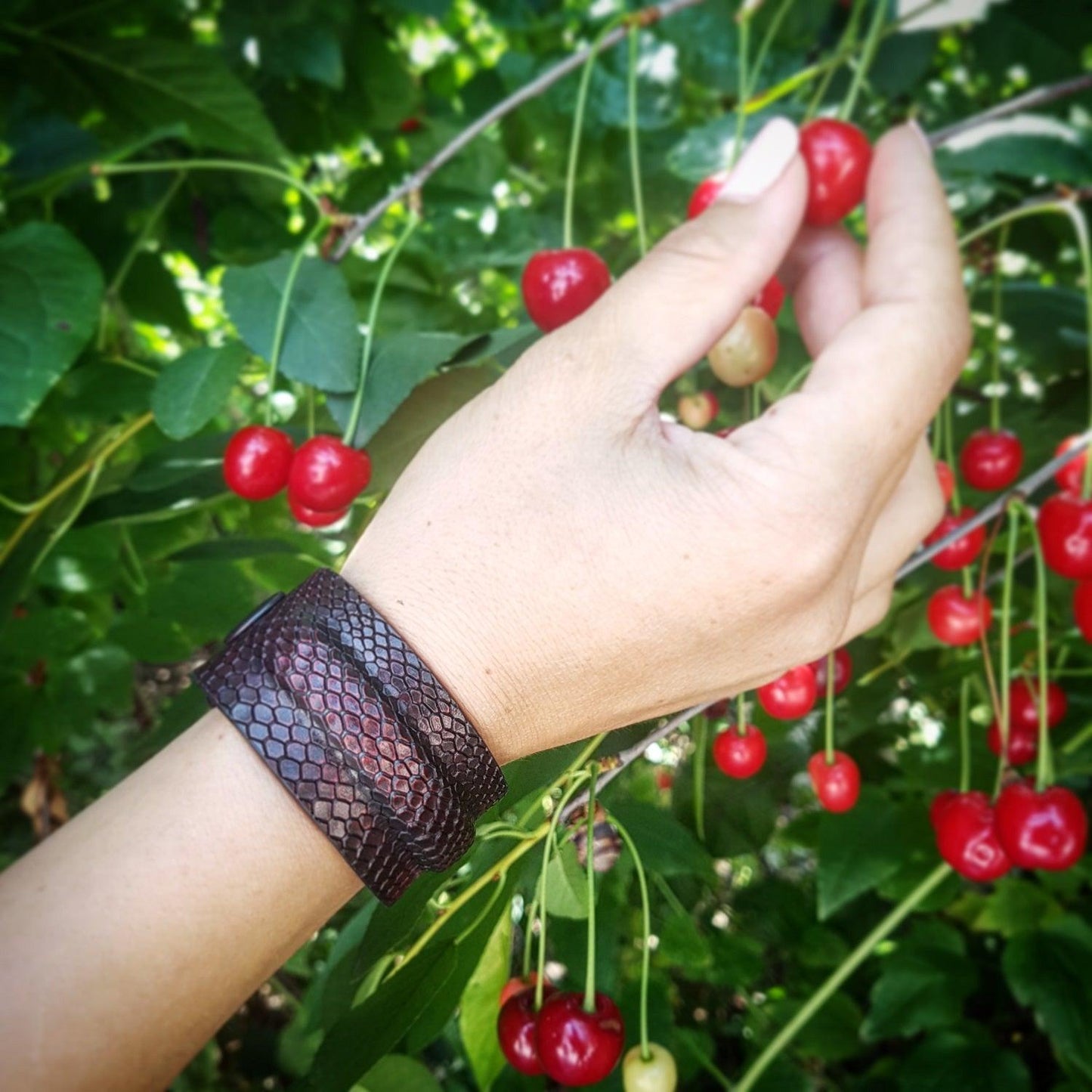 The ''Cobra'' bracelet Accessories