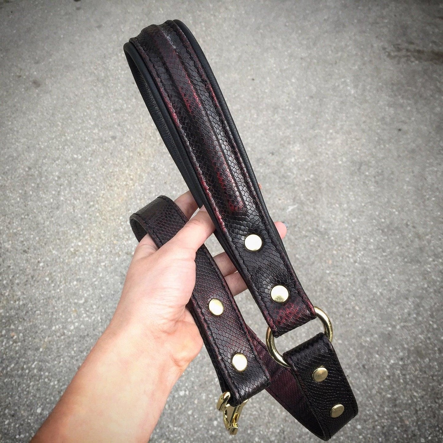 The ''COBRA'' leash Leads & Head Collars