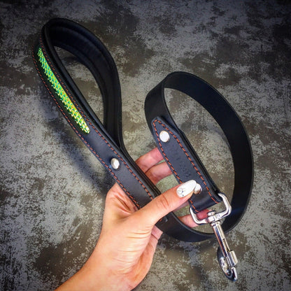 The ''D'Albertis'' collar Collars