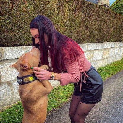 The ''D'Albertis'' collar Collars