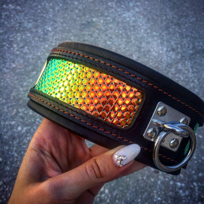 The ''D'Albertis'' collar Collars