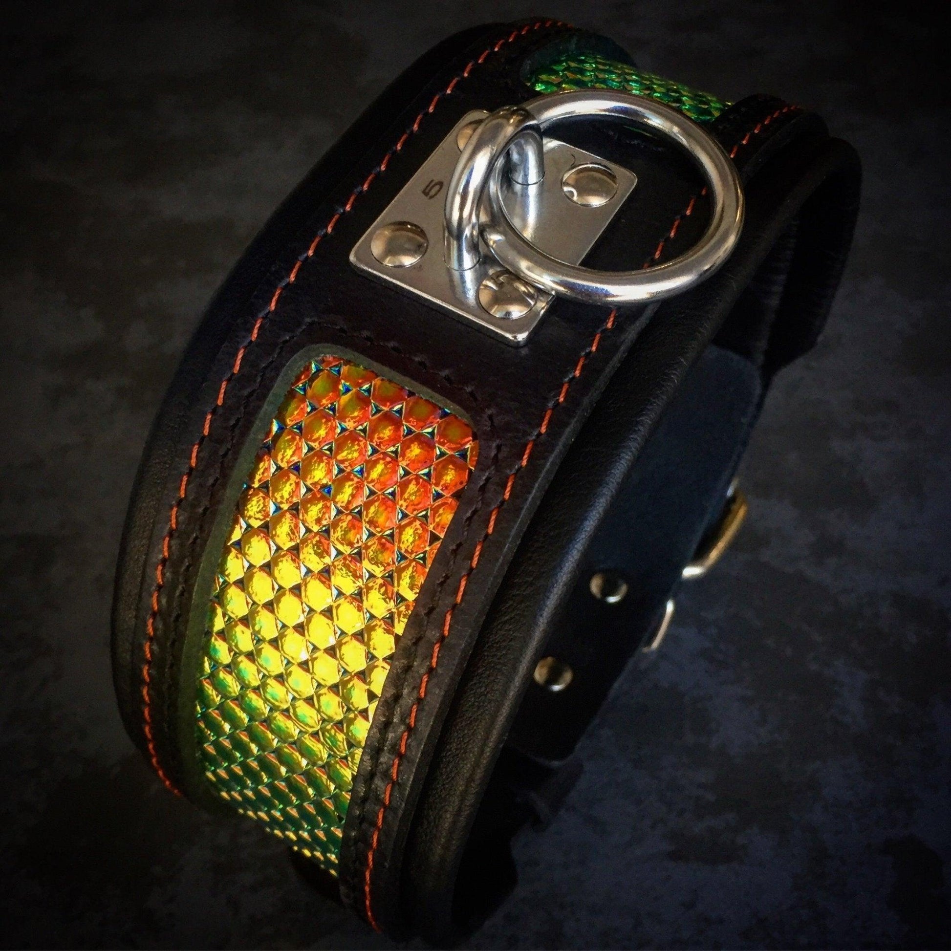 The ''D'Albertis'' collar Collars