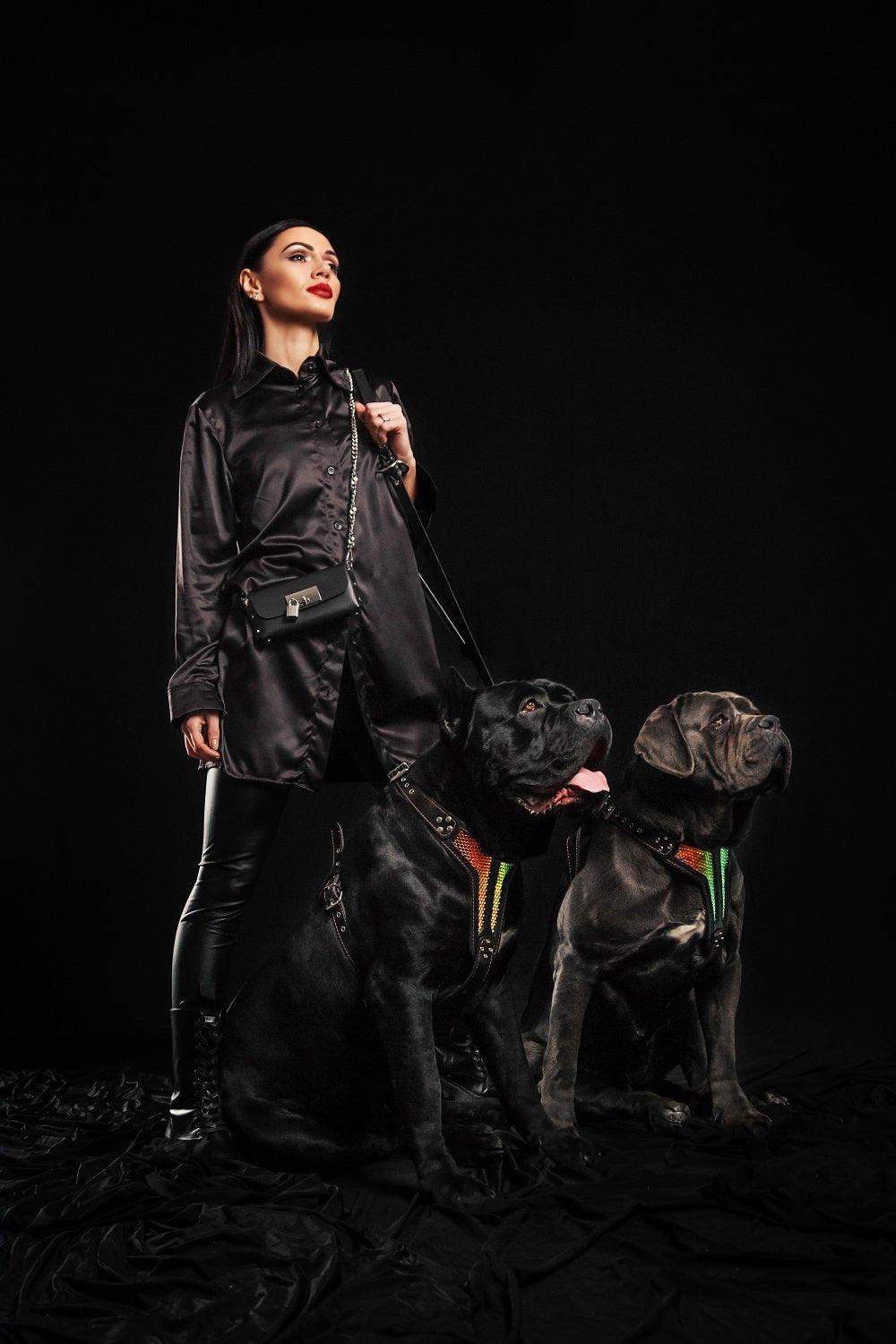 The ''D'Albertis'' harness LIMITED Harnesses