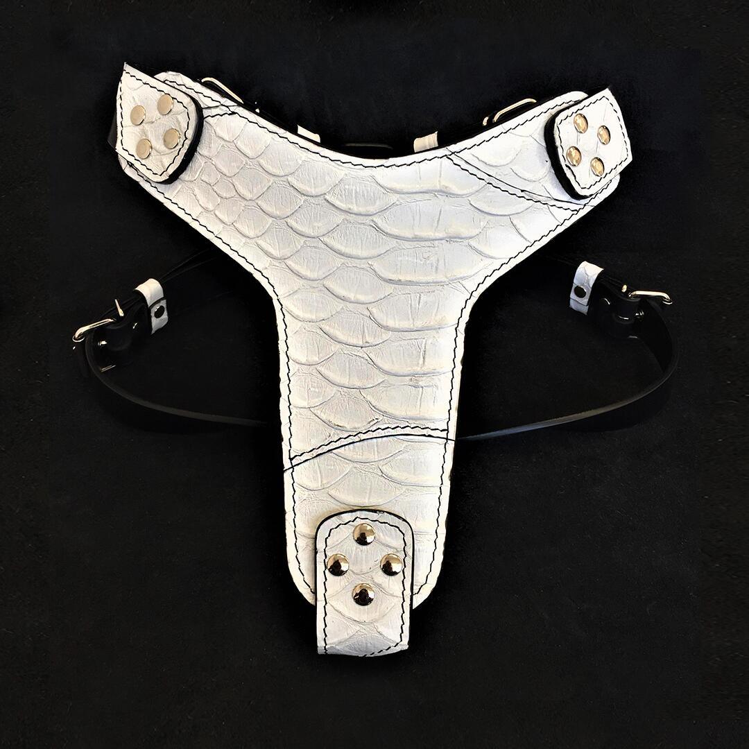 The ''Dragon Scale'' harness Harnesses