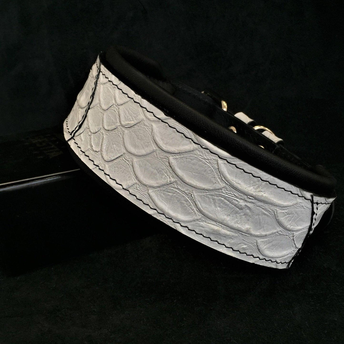 The ''Dragon Scale'' LIMITED collar exclusive design Collars