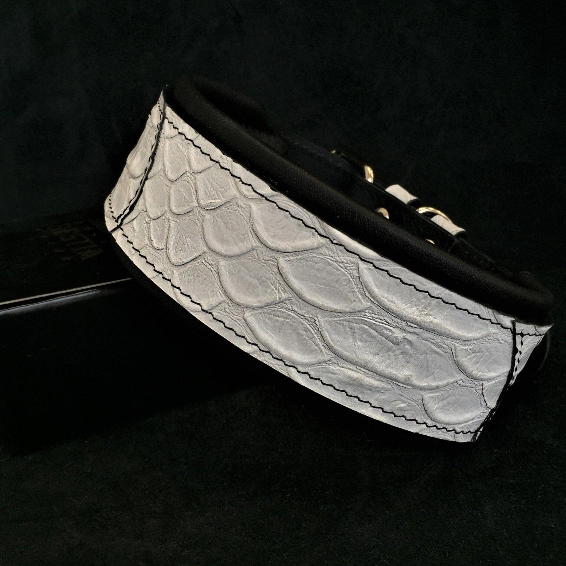 The ''Dragon Scale'' LIMITED collar exclusive design Collars