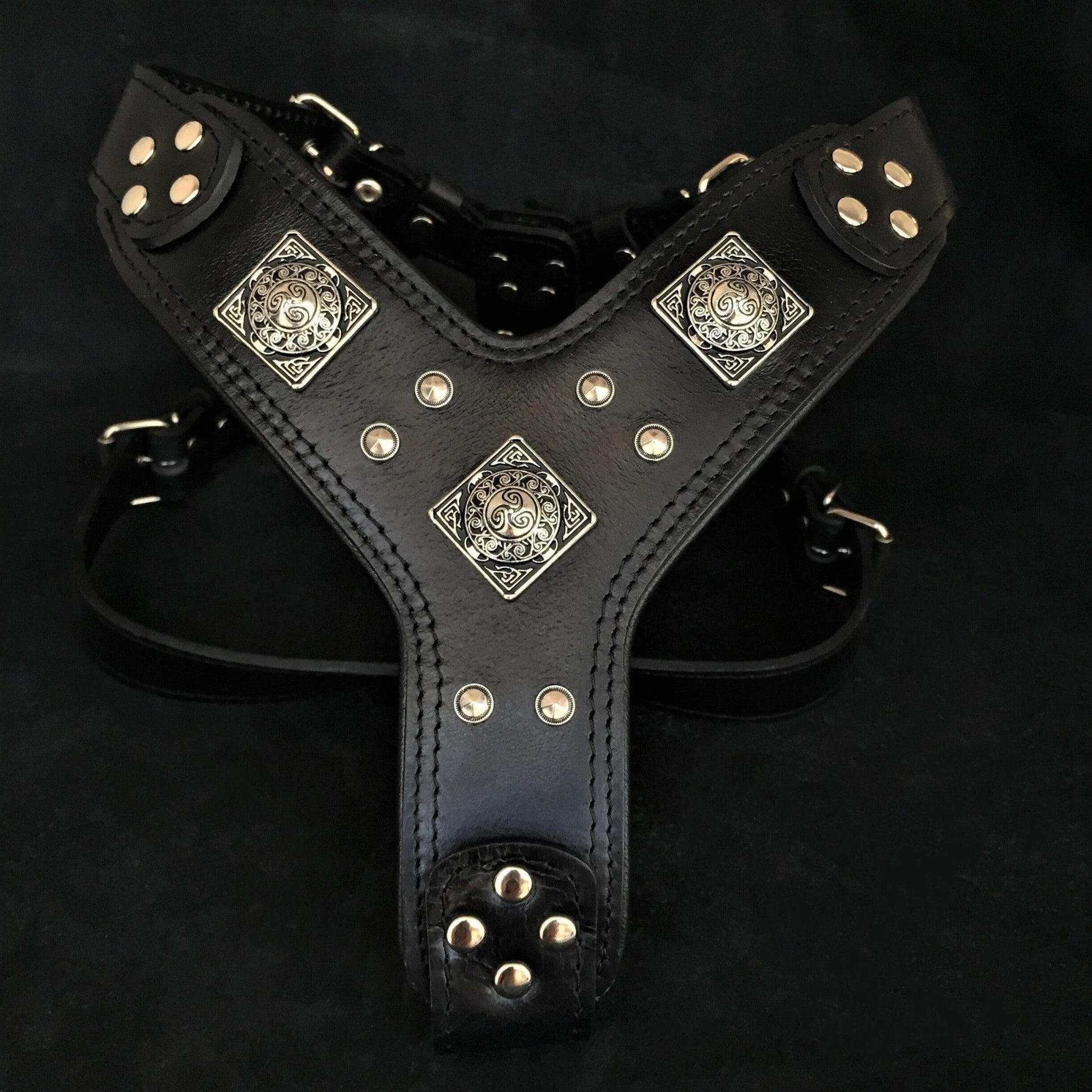 The "Eros" all Black Harness Harnesses