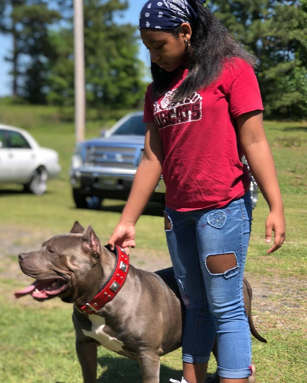 The "Eros" collar 2.5 inch wide RED Collars