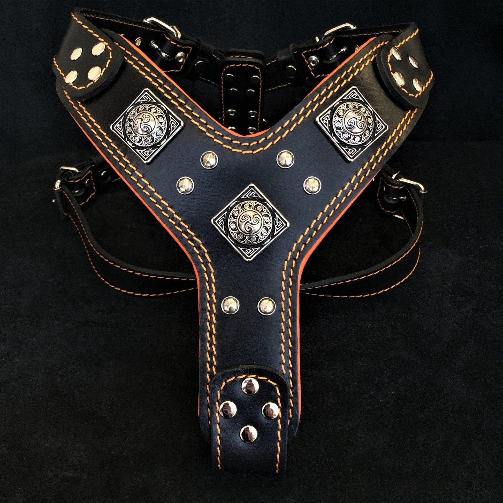 The "Eros" harness Black & Orange Harnesses