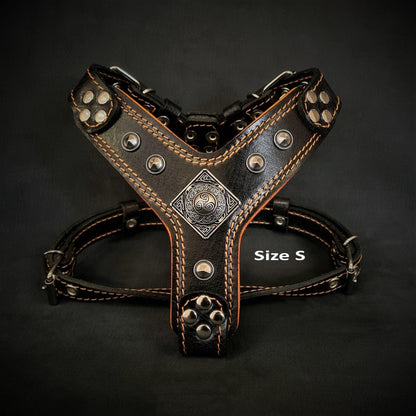 The ''Eros'' harness Black & Orange Small to Medium Size Harnesses