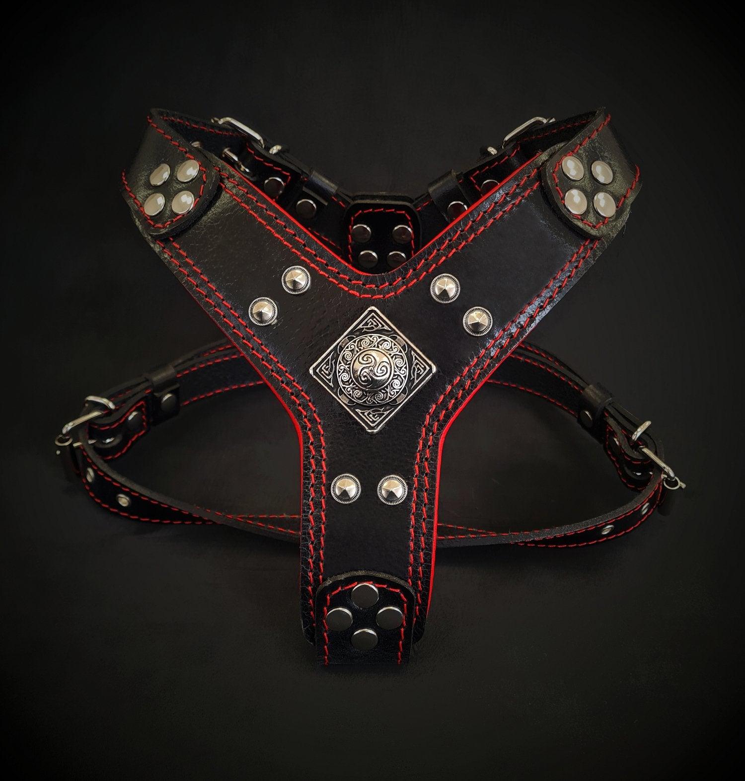 The ''Eros'' harness Black & Red Small to Medium Size Harnesses