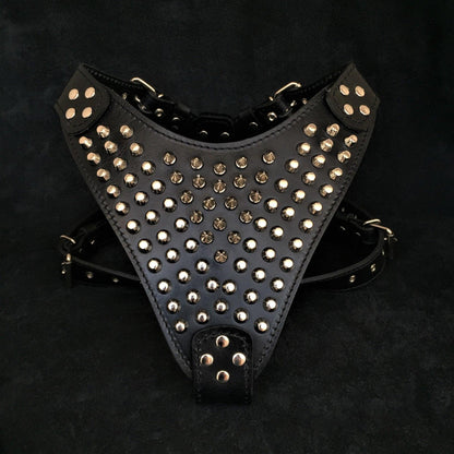 The "Gladiator" harness Harnesses