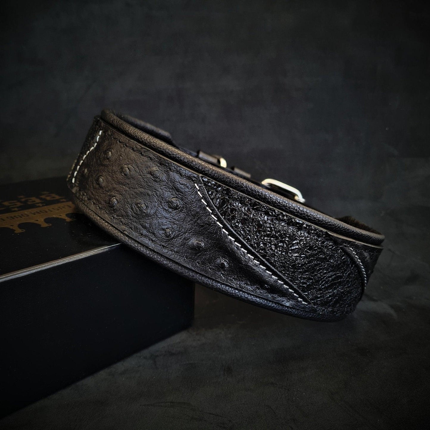 The „Korona“ collar BLACK EDITION Collars