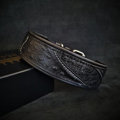 The „Korona“ collar BLACK EDITION Collars