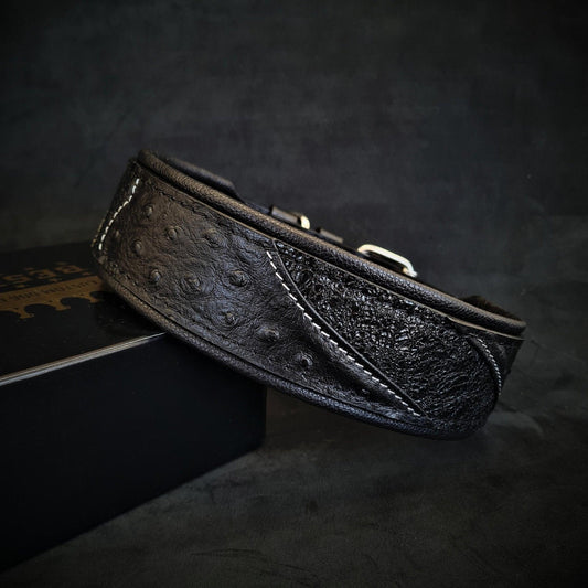 The „Korona“ collar BLACK EDITION Collars