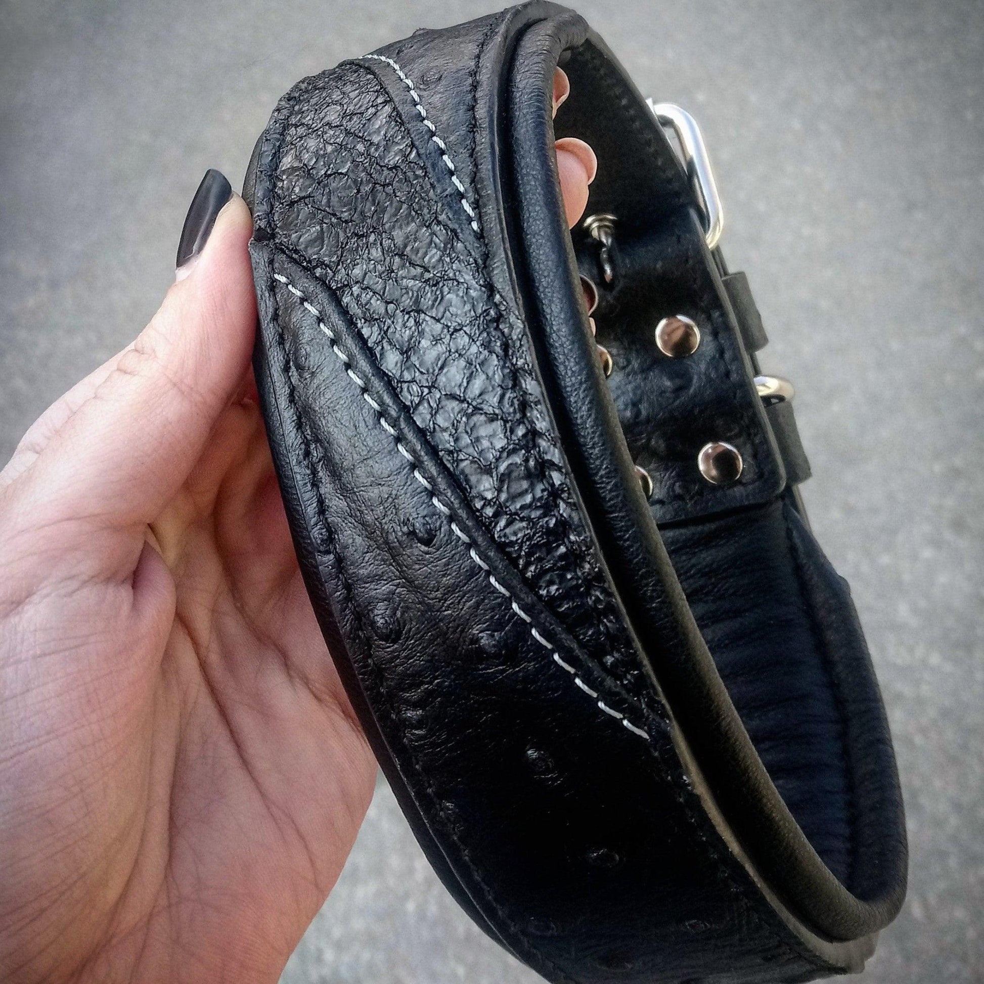 The „Korona“ collar BLACK EDITION Collars