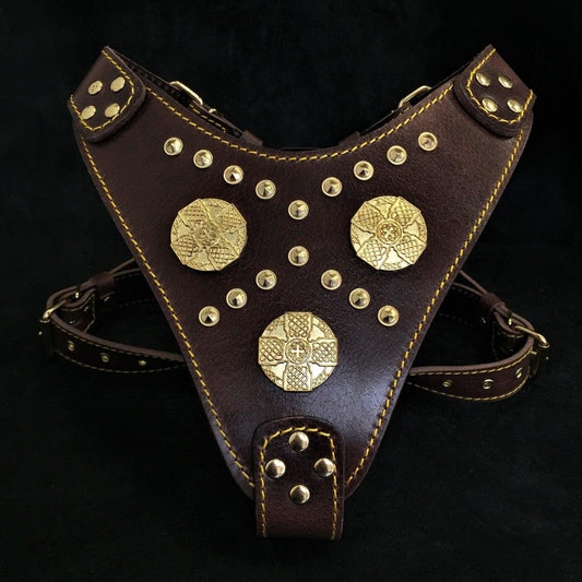 The "Maximus" brown harness Harnesses