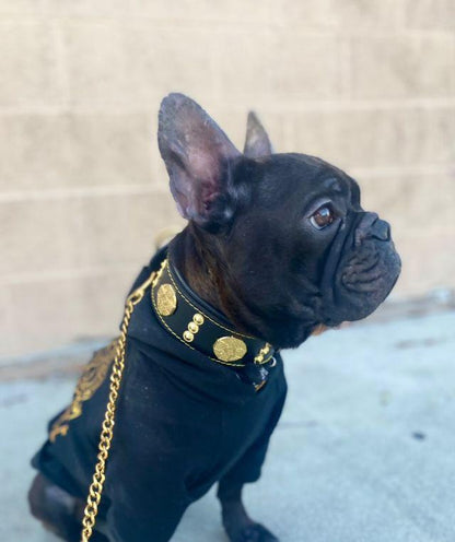 The „Maximus“ collar 2 inch wide gold decoration Collars