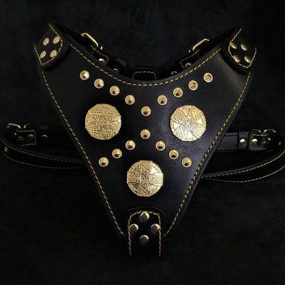 The "Maximus" harness black & gold Harnesses