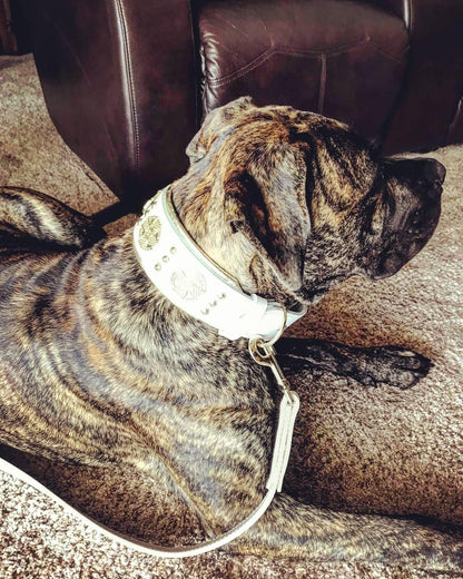 The "Maximus" leash white & gold Leads & Head Collars