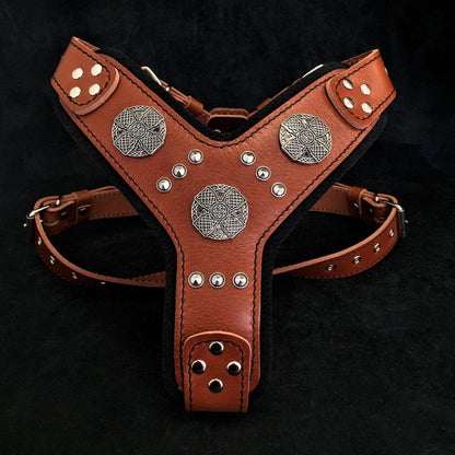 The "Maximus" silver harness Harnesses