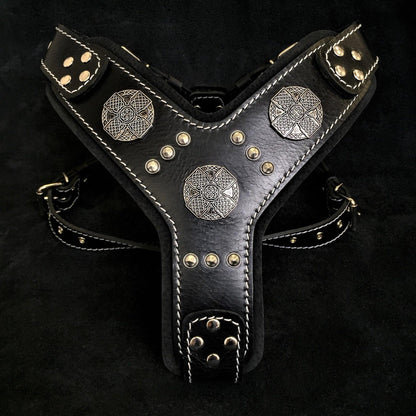 The "Maximus" silver harness Harnesses
