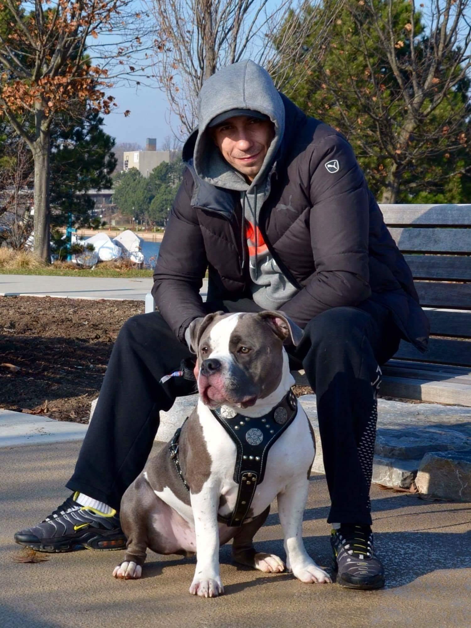 The "Maximus" silver harness Harnesses