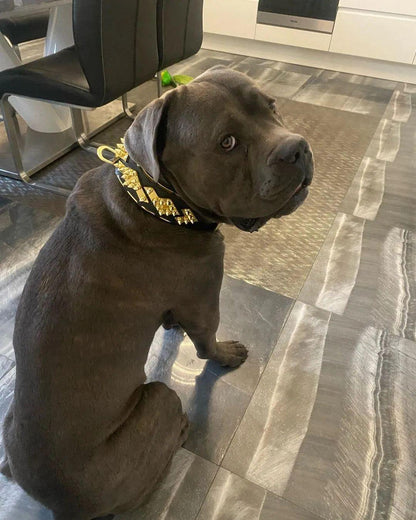 The „Midas“ Collar Gold Collars