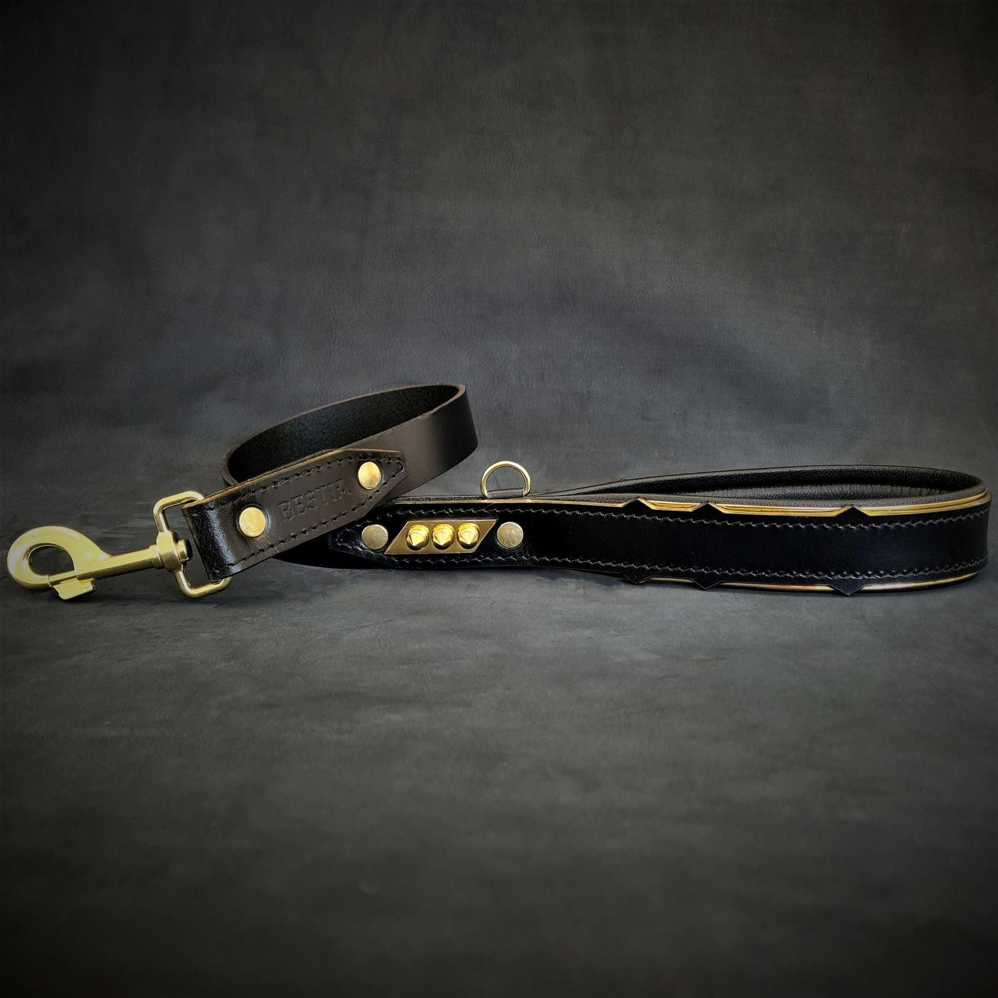 The „Midas“ leash Leads & Head Collars
