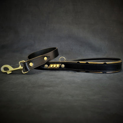 The ''Midas'' leash Leads & Head Collars