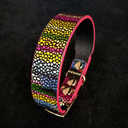The „Moby“ puppy collar Collars