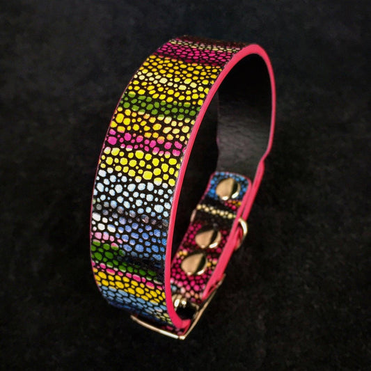 The „Moby“ puppy collar Collars