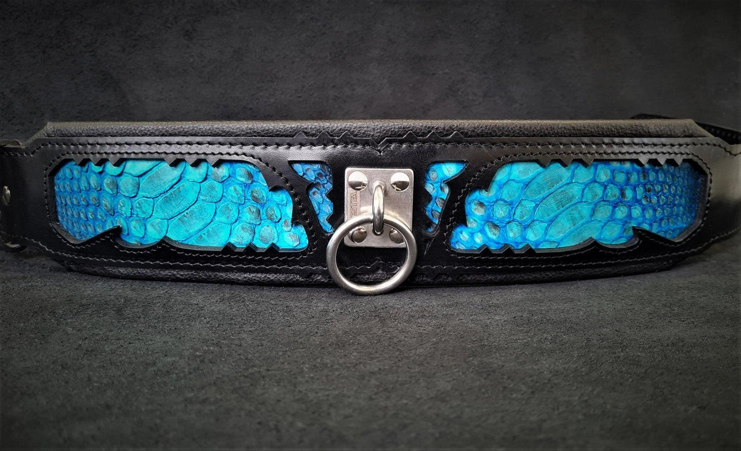 The „Morelia Python“ collar Collars