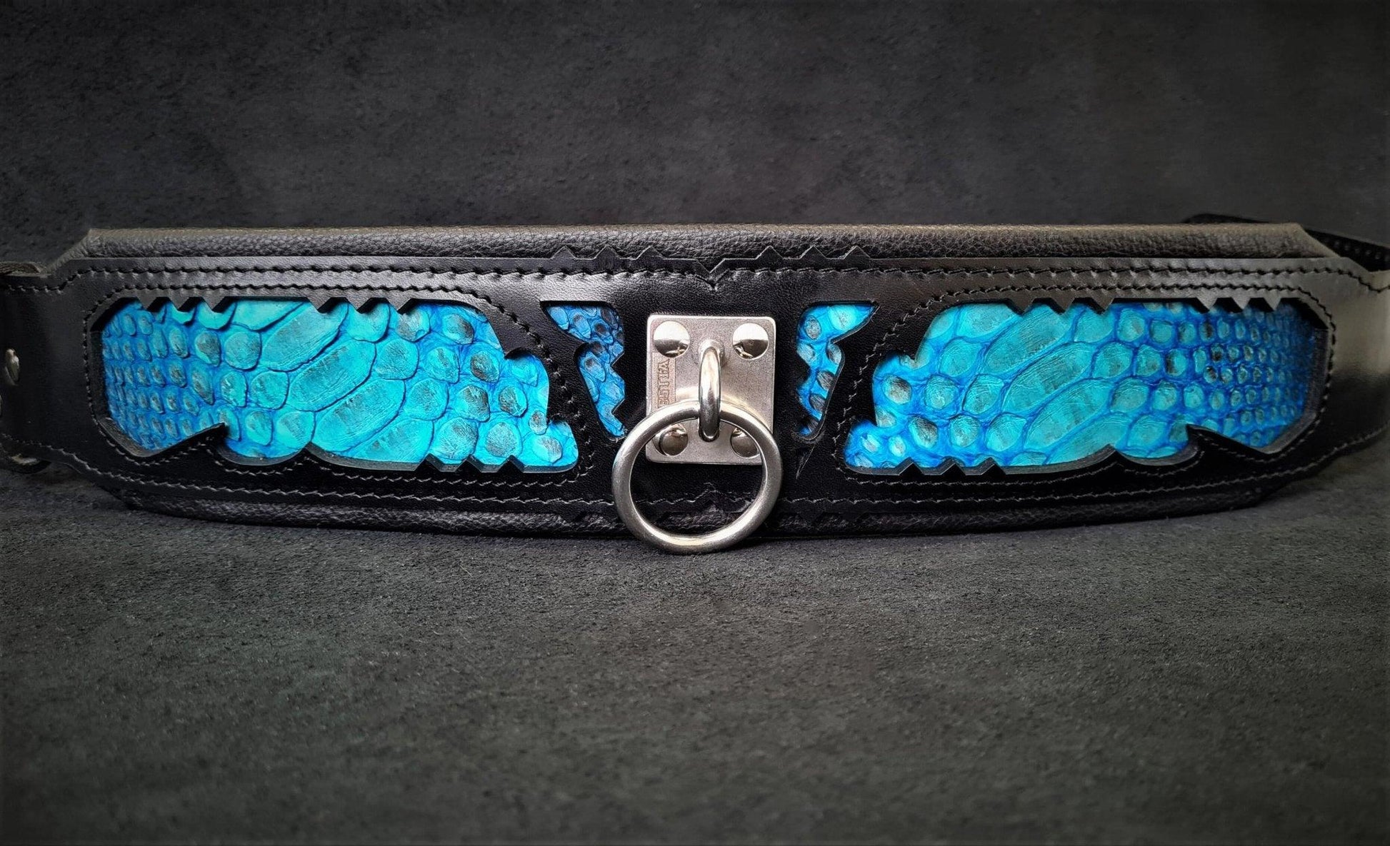 The „Morelia Python“ collar Collars