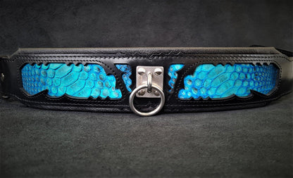 The „Morelia Python“ collar Collars