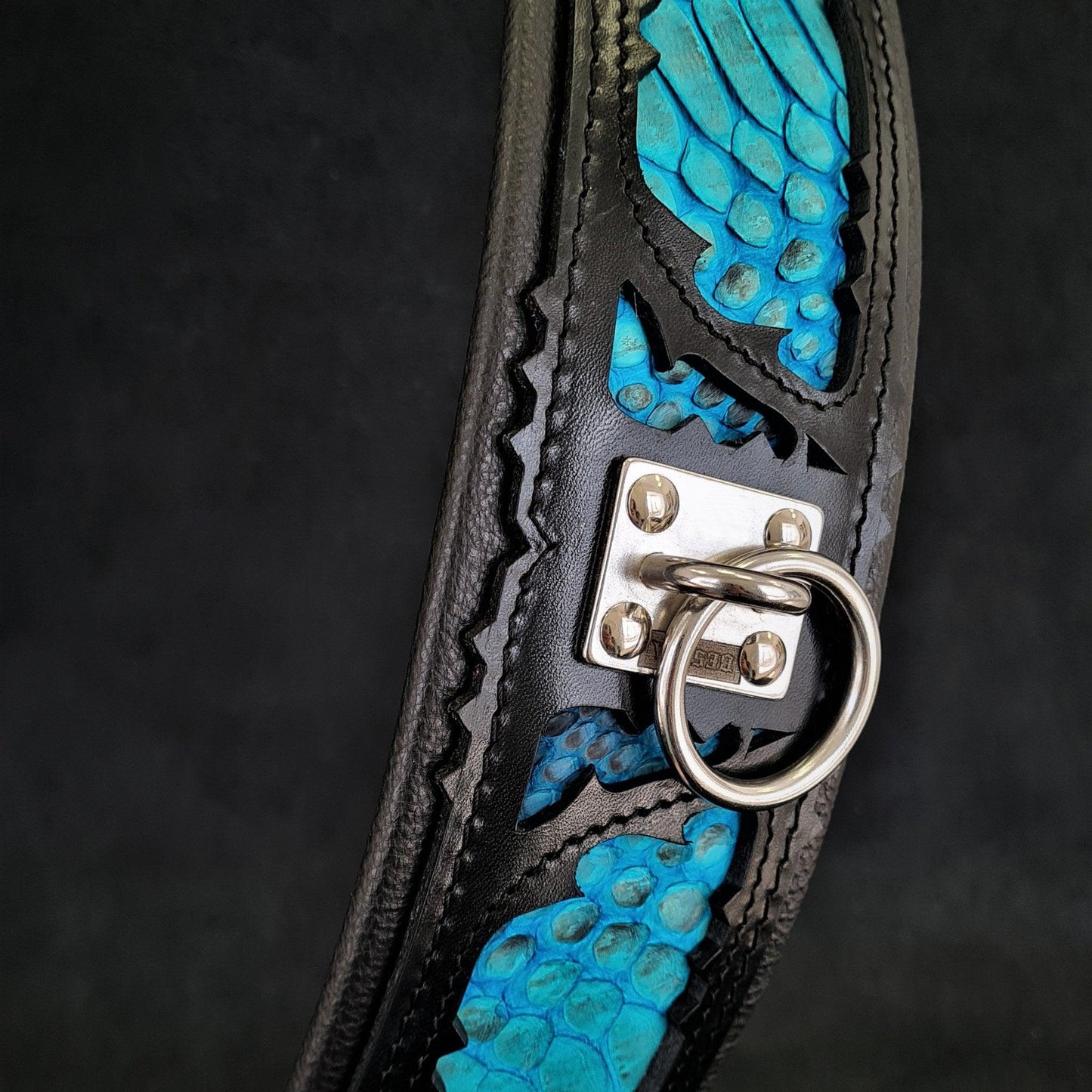 The „Morelia Python“ collar Collars